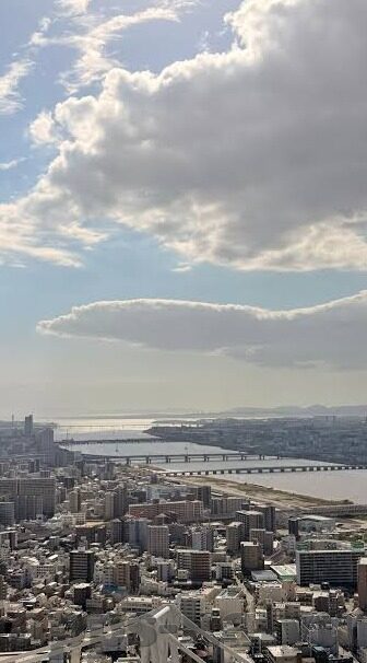 世界杯迪巴拉球鞋-世界杯迪巴拉球鞋，速度与激情的完美结合