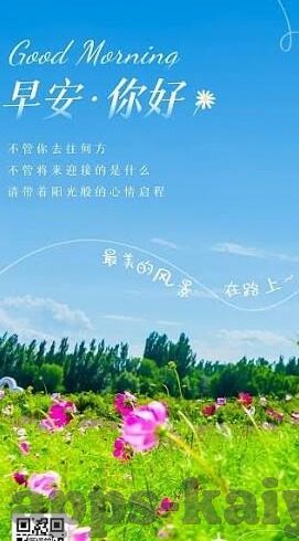 探球网足球比分直播-探球网足球比分直播，球迷的实时战场，激情与数据的完美交融